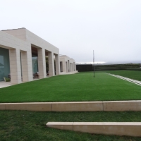 Artificial Grass Bonita California Landscape