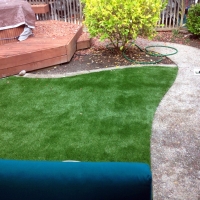 Artificial Grass Placentia California Landscape Front Yard