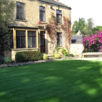 Artificial Grass Thousand Palms California Landscape Back