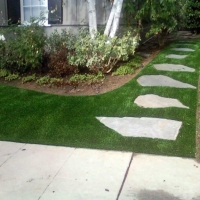 Artificial Turf Banning California Lawn Back Yard