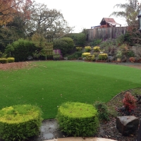 Artificial Turf Beaumont California Landscape Back Yard