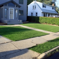 Artificial Turf Cabazon California Landscape Back Yard