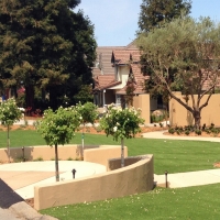 Artificial Turf Chino California Lawn Back Yard