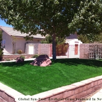 Artificial Turf Chula Vista California Landscape