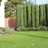 Artificial Turf Grand Terrace California Landscape Front