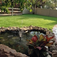 Artificial Turf Mira Loma California Landscape Front Yard