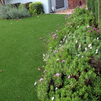 Artificial Turf Westmorland California Landscape Back Yard