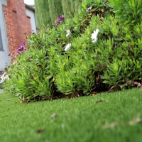 Fake Grass Mortmar California Lawn Front Yard