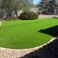 Fake Grass Palm Springs California Landscape Dogs Park