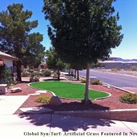 Fake Turf Coronado California Lawn