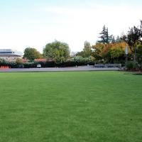 Fake Turf Lakeview California Kindergarten Front Yard