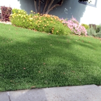 Fake Turf Seal Beach California Landscape Front Yard