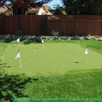 Golf Putting Greens Lemon Grove California Synthetic Turf