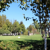 Putting Greens Idyllwild-Pine Cove California Synthetic Turf