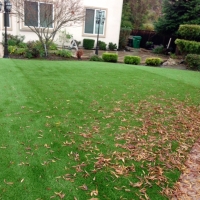 Synthetic Grass Bermuda Dunes California Lawn Front Yard