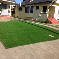 Synthetic Grass Garnet California Landscape Dogs Park