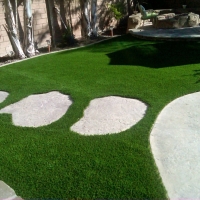 Synthetic Grass Highgrove California Landscape Back Yard