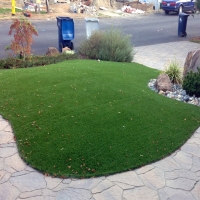 Synthetic Grass Indio California Landscape Back Yard