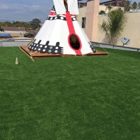 Synthetic Grass Orange California Lawn Back Yard