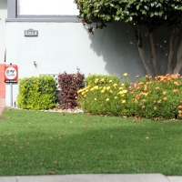 Synthetic Grass Rubidoux California Landscape Back Yard