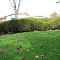 Synthetic Grass Seal Beach California Lawn Back Yard