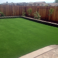 Synthetic Grass Seeley California Landscape Front Yard