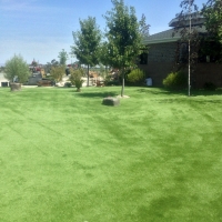 Synthetic Pet Grass Lake San Marcos California for Dogs