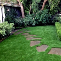 Synthetic Turf Coachella California Lawn Back Yard