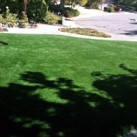 Synthetic Turf Corona California Landscape Pavers Back