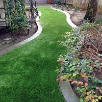 Synthetic Turf Indio Hills California Landscape Back Yard