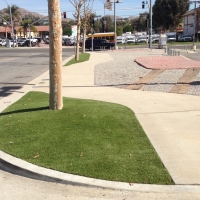 Synthetic Turf Palm Springs California Lawn