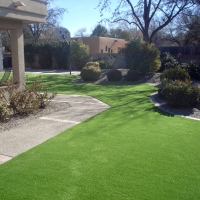 Synthetic Turf Santee California Lawn Commercial Landscape