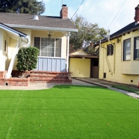 Synthetic Turf Seal Beach California Lawn Back Yard