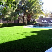 Synthetic Turf Sunset Beach California Lawn Front Yard