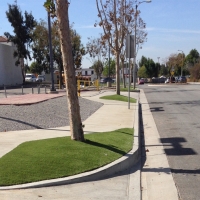 Synthetic Turf Westminster California Landscape