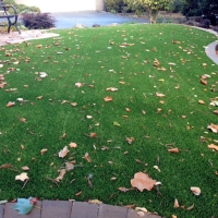 Synthetic Turf Westminster California Lawn Front Yard