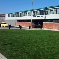 Synthetic Turf Winter Gardens California Lawn Back Yard