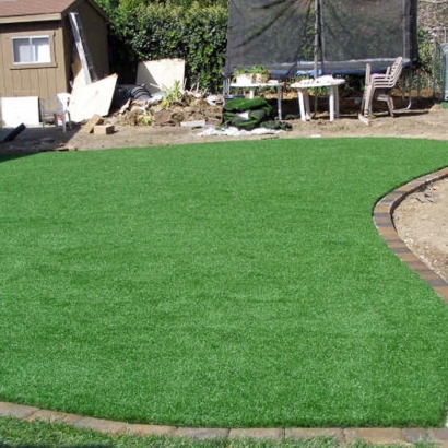 Artificial Turf Cypress California Lawn Back Yard