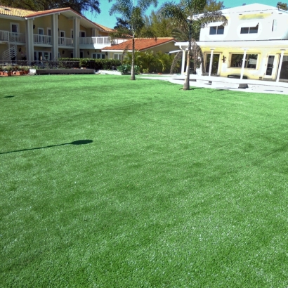 Artificial Turf Dana Point California Lawn Swimming Pools