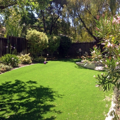 Artificial Turf Fairbanks Ranch California Landscape Dogs