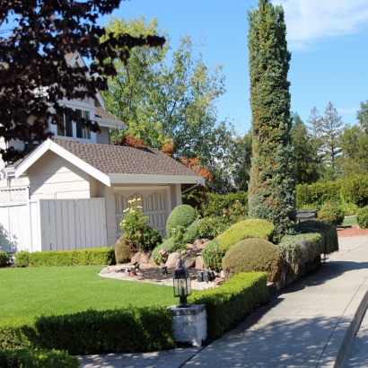 Artificial Turf Heber California Lawn Back Yard