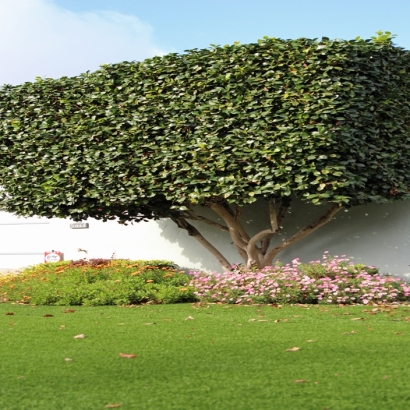 Artificial Turf Loma Linda California Lawn