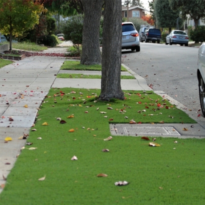 Artificial Turf Mortmar California Lawn Front Yard