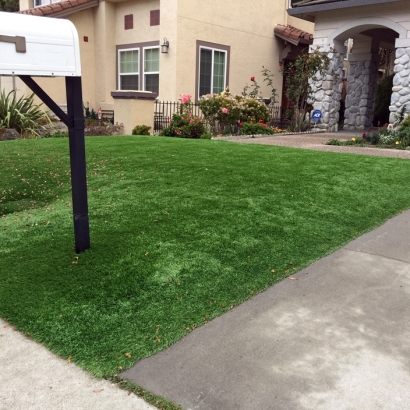 Artificial Turf Placentia California Lawn Back Yard