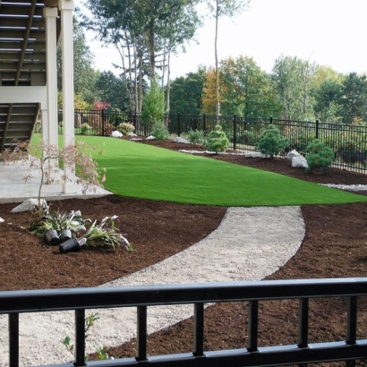 Artificial Turf Winter Gardens California Lawn Back Yard