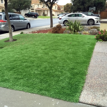 Artificial Turf Yucaipa California Landscape