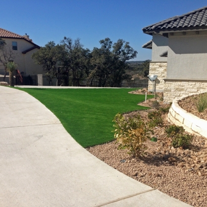 Fake Grass Bostonia California Lawn Back Yard