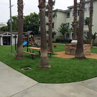 Fake Grass Del Mar California Landscape Front Yard