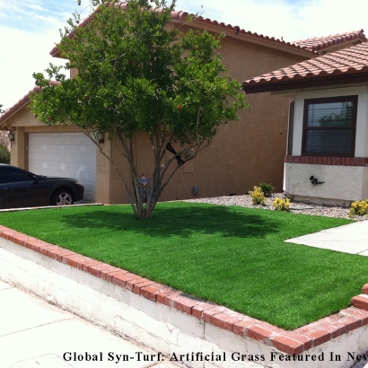 Fake Grass National City California Landscape