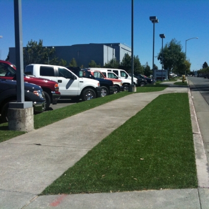 Fake Grass Winter Gardens California Landscape Front Yard